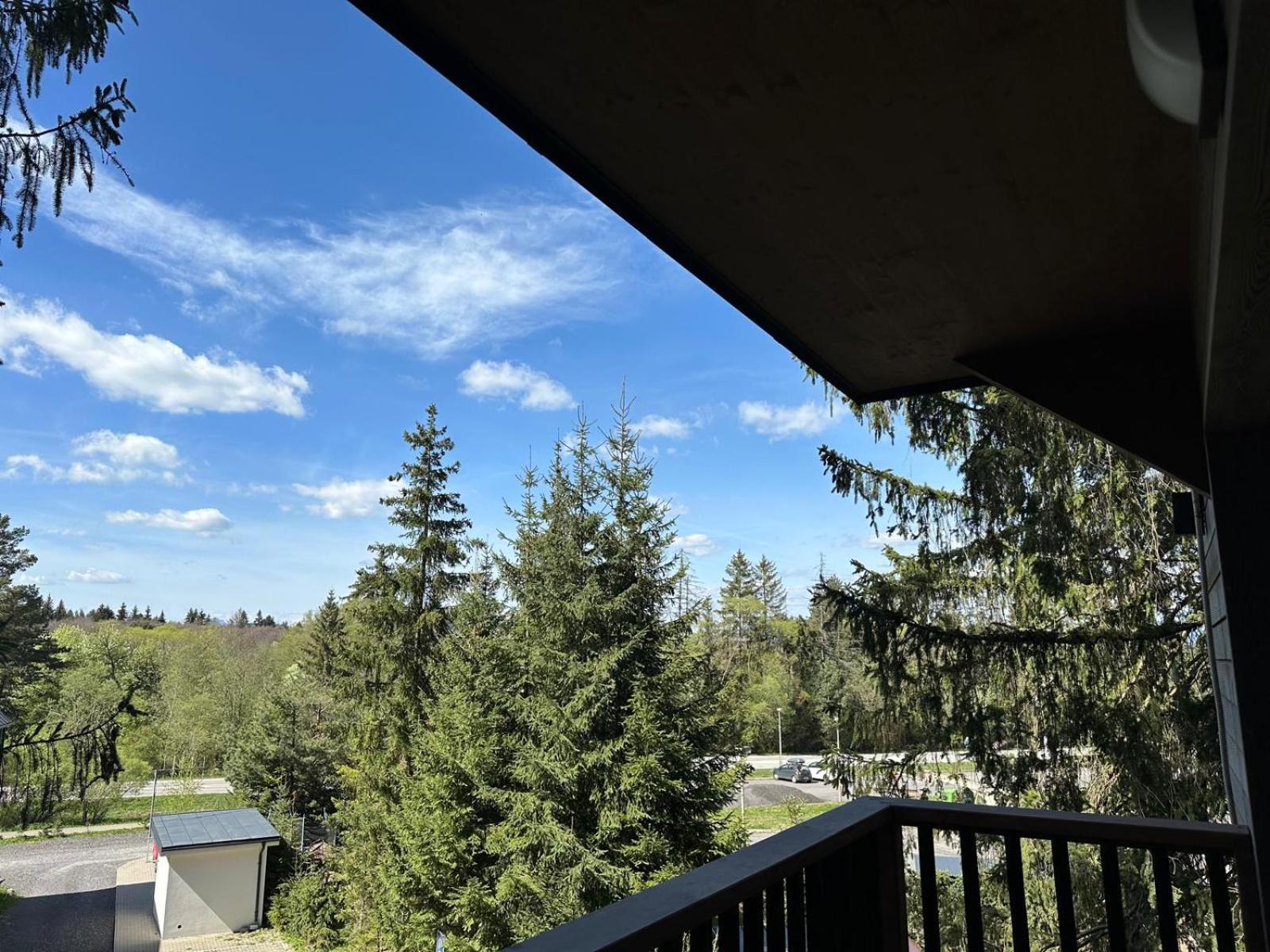 Apartman Pod Smrekom Demaenovska Dolina Екстер'єр фото
